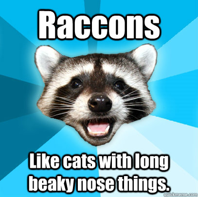 Raccons Like cats with long beaky nose things.  Lame Pun Coon