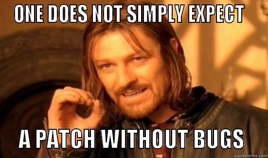 ONE DOES NOT SIMPLY EXPECT        A PATCH WITHOUT BUGS     Boromir