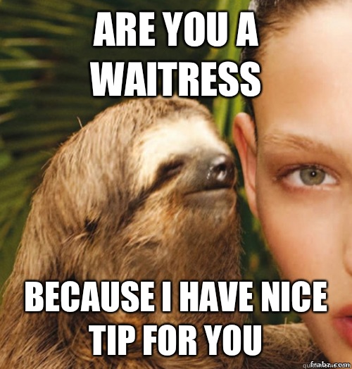 Are you a waitress Because I have nice tip for you  rape sloth