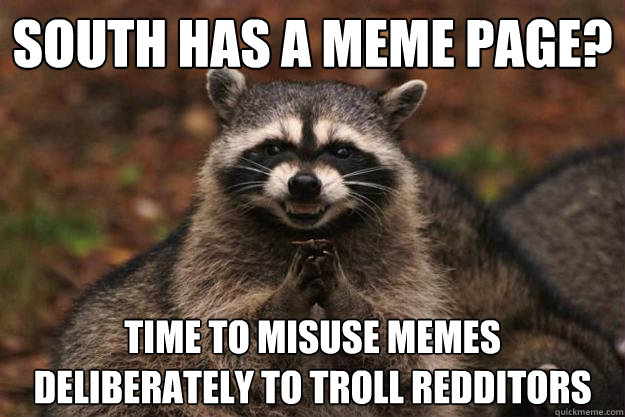 south has a meme page? time to misuse memes deliberately to troll redditors - south has a meme page? time to misuse memes deliberately to troll redditors  Evil Plotting Raccoon