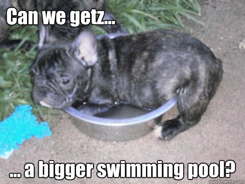 Can we getz... ... a bigger swimming pool?  Yoda