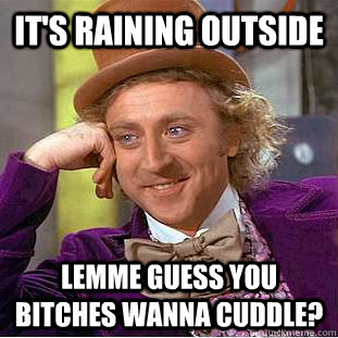 It's raining outside Lemme guess you bitches wanna cuddle? - It's raining outside Lemme guess you bitches wanna cuddle?  Condescending Wonka