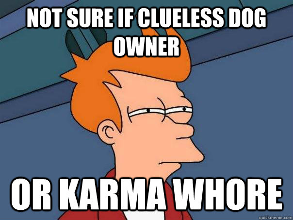 Not sure if clueless dog owner Or karma whore  Futurama Fry