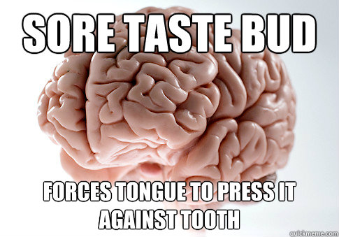 Sore taste bud Forces tongue to press it against tooth  Scumbag Brain