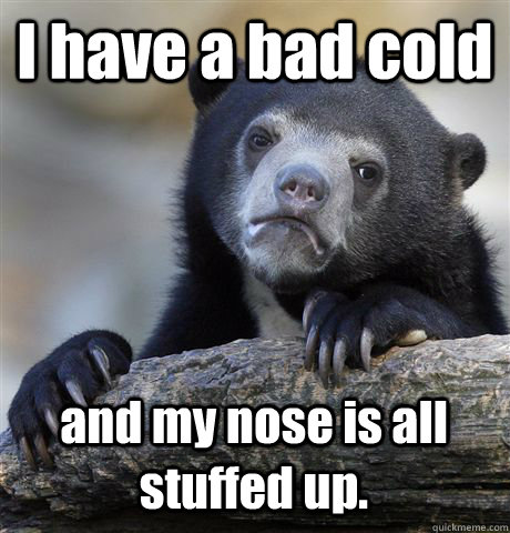 I have a bad cold and my nose is all stuffed up.  Confession Bear