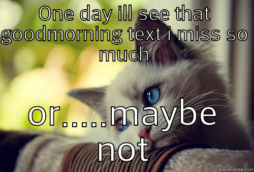 ONE DAY ILL SEE THAT GOODMORNING TEXT I MISS SO MUCH OR.....MAYBE NOT First World Problems Cat