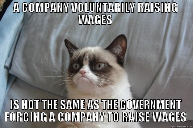 A COMPANY VOLUNTARILY RAISING WAGES IS NOT THE SAME AS THE GOVERNMENT FORCING A COMPANY TO RAISE WAGES Grumpy Cat