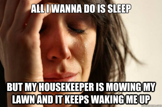 All i wanna do is sleep But my housekeeper is mowing my lawn and it keeps waking me up  First World Problems