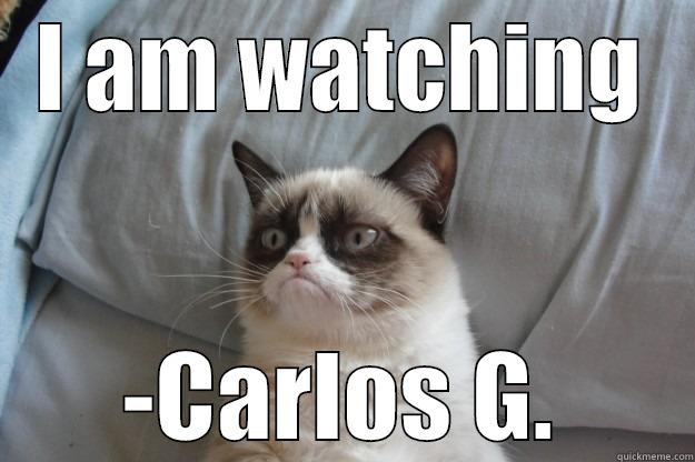 I AM WATCHING -CARLOS G. Grumpy Cat