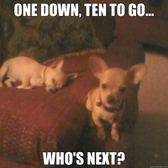 ONE DOWN, TEN TO GO... WHO'S NEXT? - ONE DOWN, TEN TO GO... WHO'S NEXT?  dogs