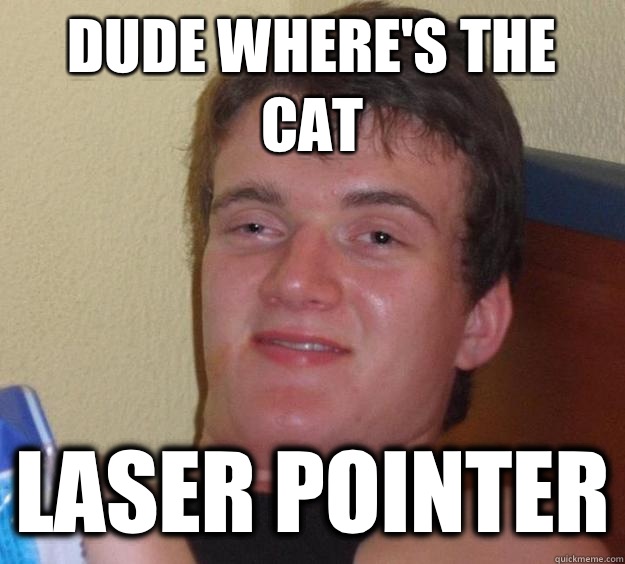 Dude where's the cat Laser pointer - Dude where's the cat Laser pointer  10 Guy