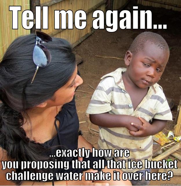 TELL ME AGAIN... ...EXACTLY HOW ARE YOU PROPOSING THAT ALL THAT ICE BUCKET CHALLENGE WATER MAKE IT OVER HERE? Skeptical Third World Kid