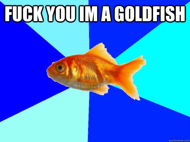 Fuck You Im A Goldfish - Fuck You Im A Goldfish  Rude goldfish