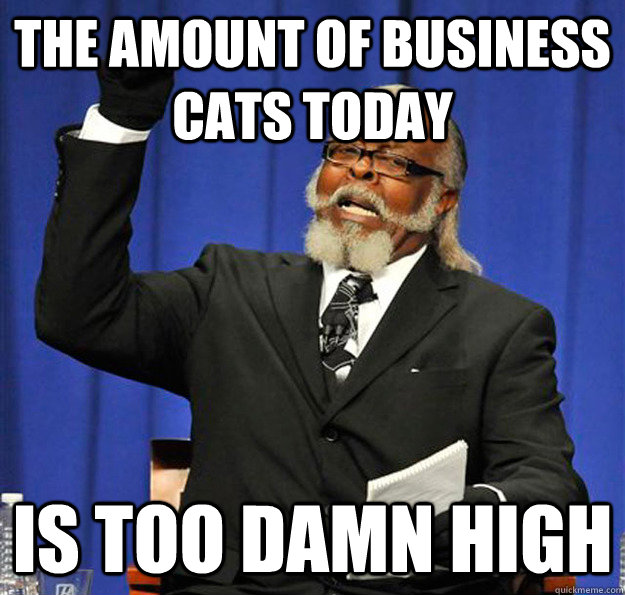 The amount of business cats today Is too damn high  Jimmy McMillan