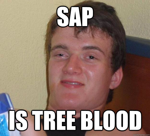 sap is tree blood - sap is tree blood  10 Guy