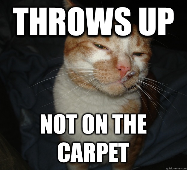 Throws up Not on the carpet - Throws up Not on the carpet  Cool Cat Craig