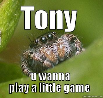 TONY U WANNA PLAY A LITTLE GAME  Misunderstood Spider