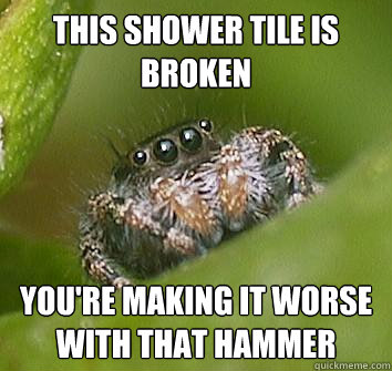 this shower tile is broken you're making it worse with that hammer - this shower tile is broken you're making it worse with that hammer  Misunderstood Spider