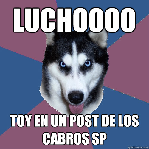 Luchoooo toy en un post de los cabros SP     Creeper Canine