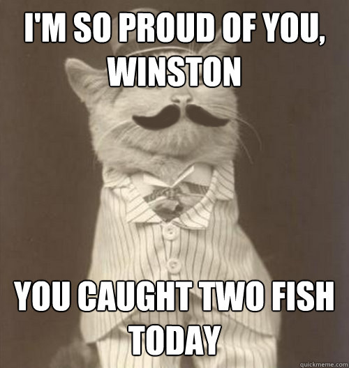 I'm so proud of you, winston you caught two fish today  Original Business Cat