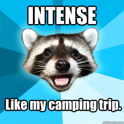 INTENSE Like my camping trip.   Lame Pun Coon