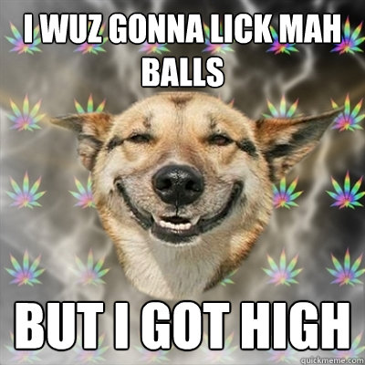 I WUZ GONNA LICK MAH BALLS BUT I GOT HIGH  Stoner Dog