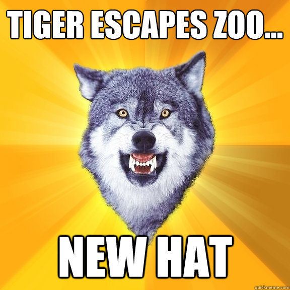 Tiger escapes zoo... New Hat Courage Wolf quickmeme