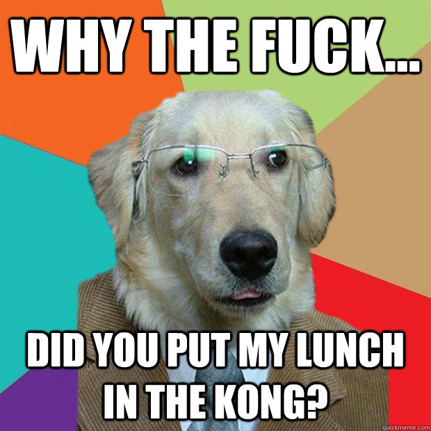 Why the fuck... did you put my lunch in the kong?  Business Dog