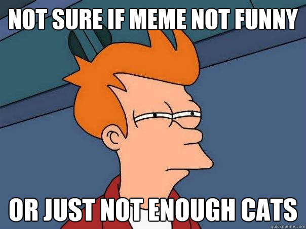 Not sure if meme not funny Or just not enough cats  Futurama Fry