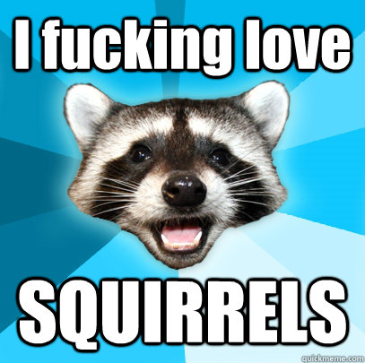 I fucking love  SQUIRRELS   Lame Pun Coon