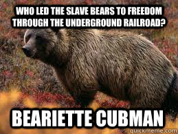 Who led the slave bears to freedom through the underground railroad? beariette cubman  