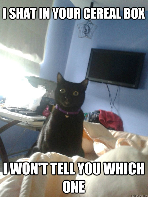 I shat in your cereal box I won't tell you which one  overly attached cat