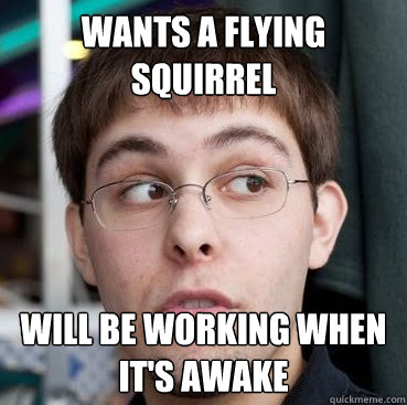 wants a flying squirrel will be working when it's awake - wants a flying squirrel will be working when it's awake  Sheeple Ty