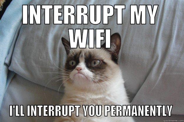 INTERRUPT MY WIFI I'LL INTERRUPT YOU PERMANENTLY Grumpy Cat