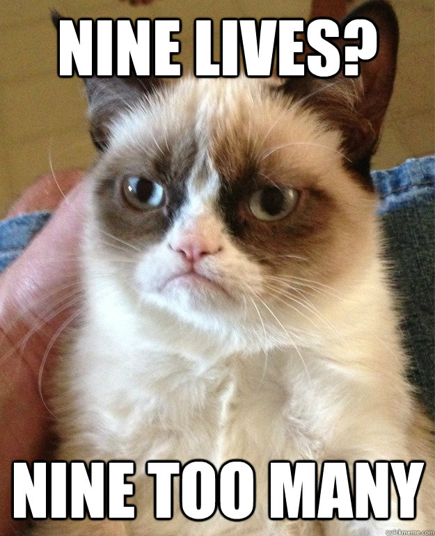 Nine lives? nine too many - Nine lives? nine too many  Grumpy Cat