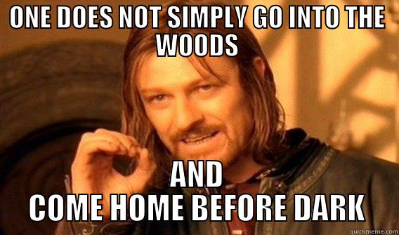 ONE DOES NOT SIMPLY GO INTO THE WOODS AND COME HOME BEFORE DARK One Does Not Simply