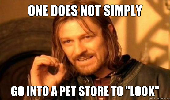 One Does not Simply go into a pet store to 