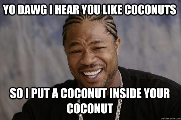 YO DAWG I HEAR YOU LIKE COCONUTS so i PUT A COCONUT INSIDE YOUR COCONUT  Xzibit meme