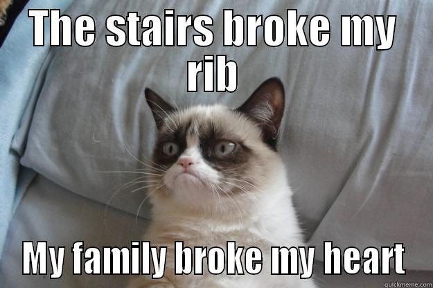 In honor of Jared - THE STAIRS BROKE MY RIB MY FAMILY BROKE MY HEART Grumpy Cat