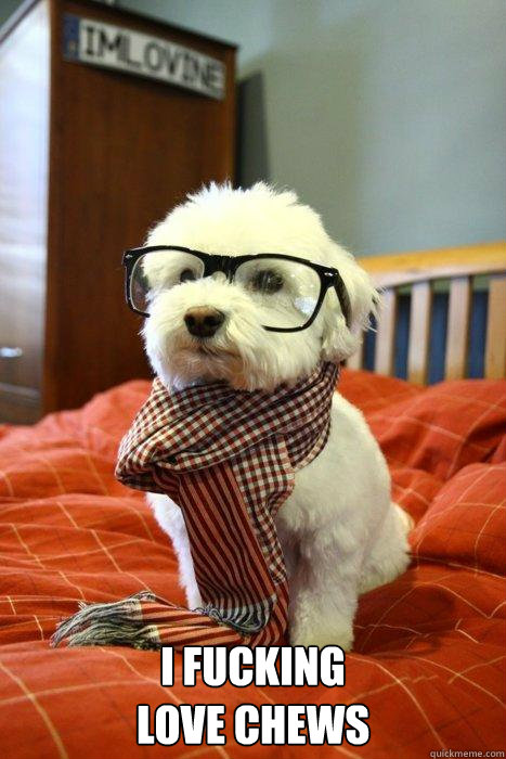  I fucking
love chews Caption 3 goes here  Hipster Dog