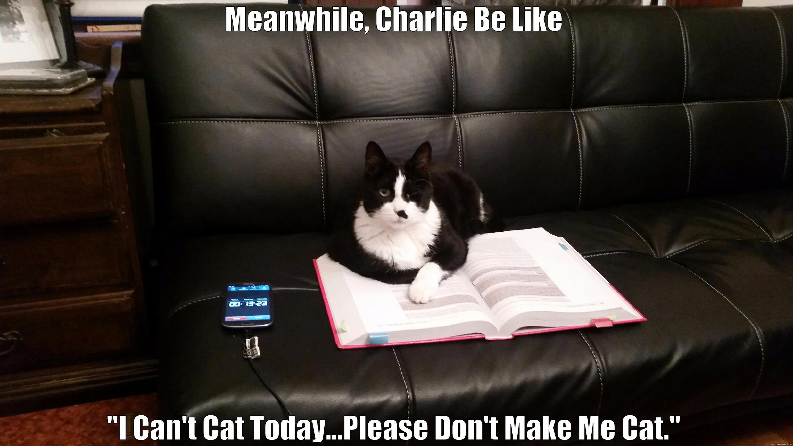 Charlie Boy Hates Mondays - MEANWHILE, CHARLIE BE LIKE 