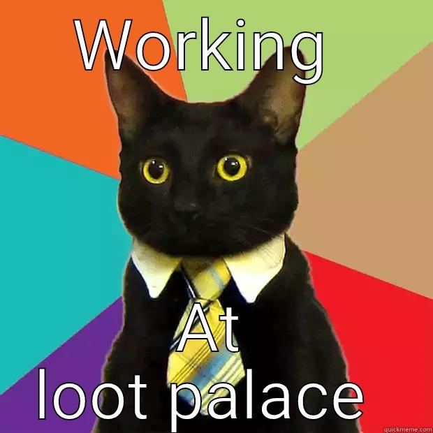 WORKING  AT LOOT PALACE  Business Cat