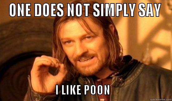 pPOONY POONER - ONE DOES NOT SIMPLY SAY                              I LIKE POON                            Boromir