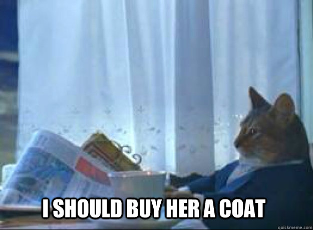 i should buy her a coat  I should buy a boat cat