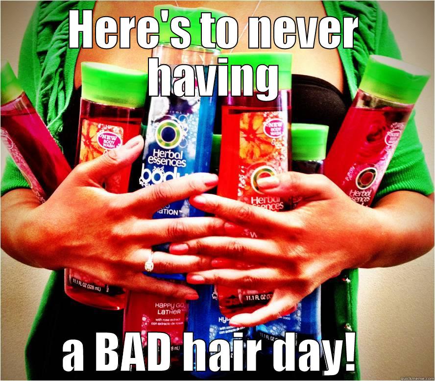 HERE'S TO NEVER HAVING A BAD HAIR DAY!  Misc