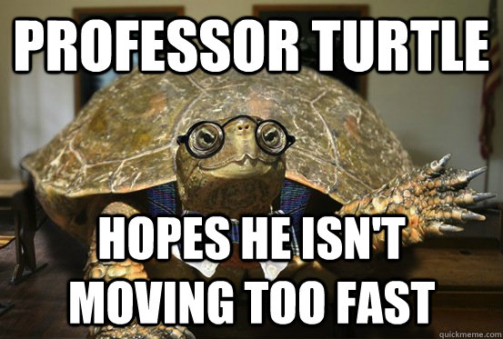 Professor Turtle Hopes he isn't moving too fast  Professor Turtle