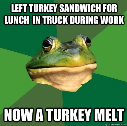 LEFT TURKEY SANDWICH FOR LUNCH  IN TRUCK DURING WORK NOW A TURKEY MELT - LEFT TURKEY SANDWICH FOR LUNCH  IN TRUCK DURING WORK NOW A TURKEY MELT  Foul Bachelor Frog