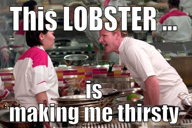 THIS LOBSTER ... IS MAKING ME THIRSTY Gordon Ramsay