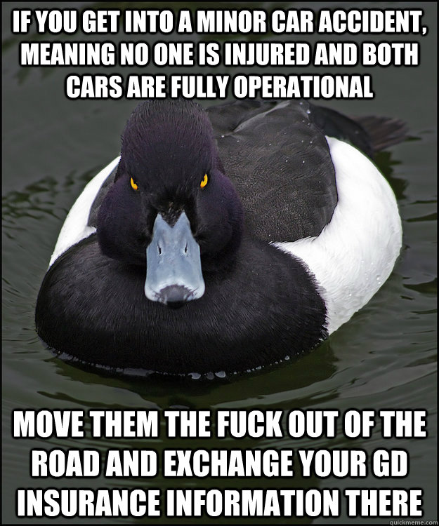 If you get into a minor car accident, meaning no one is injured and both cars are fully operational Move them the fuck out of the road and exchange your GD insurance information there - If you get into a minor car accident, meaning no one is injured and both cars are fully operational Move them the fuck out of the road and exchange your GD insurance information there  Angry Advice Duck