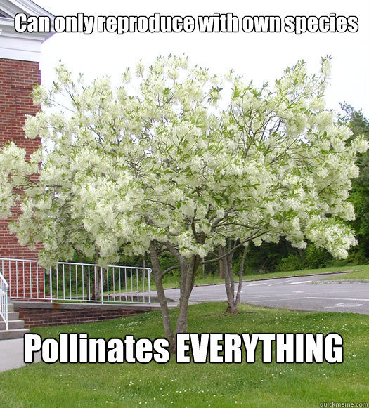 Can only reproduce with own species Pollinates EVERYTHING  